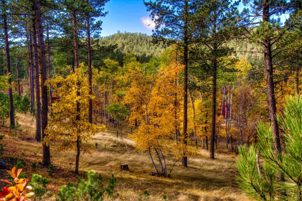 Yak Ridge Cabins And Farmstead By Mount Rushmore Villa Keystone Esterno foto